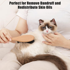 Brosse Myselect utilisée sur le pelage d'un chat pour un brossage sûr