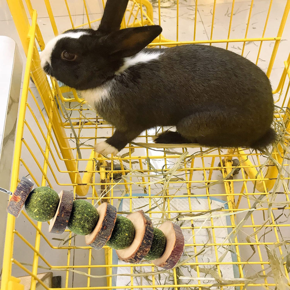 MYYZMY anneau métallique de suspension, facile à accrocher dans la cage.