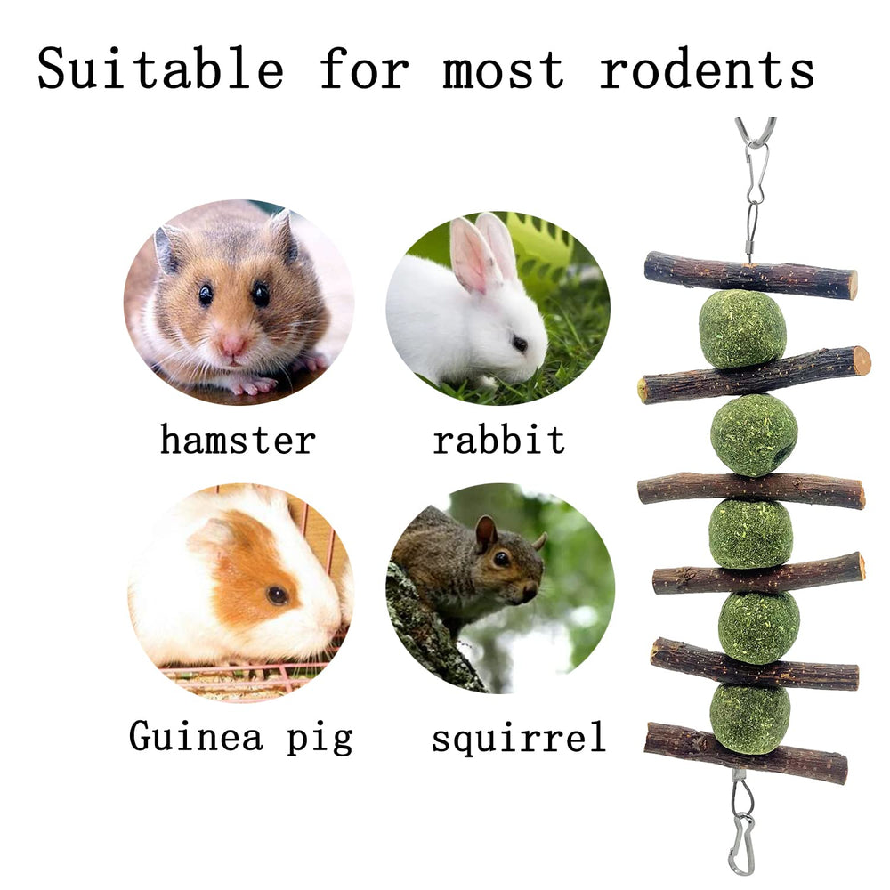MYYZMY jouet dentition polyvalent, adapté lapins cochons d’Inde et hamsters.