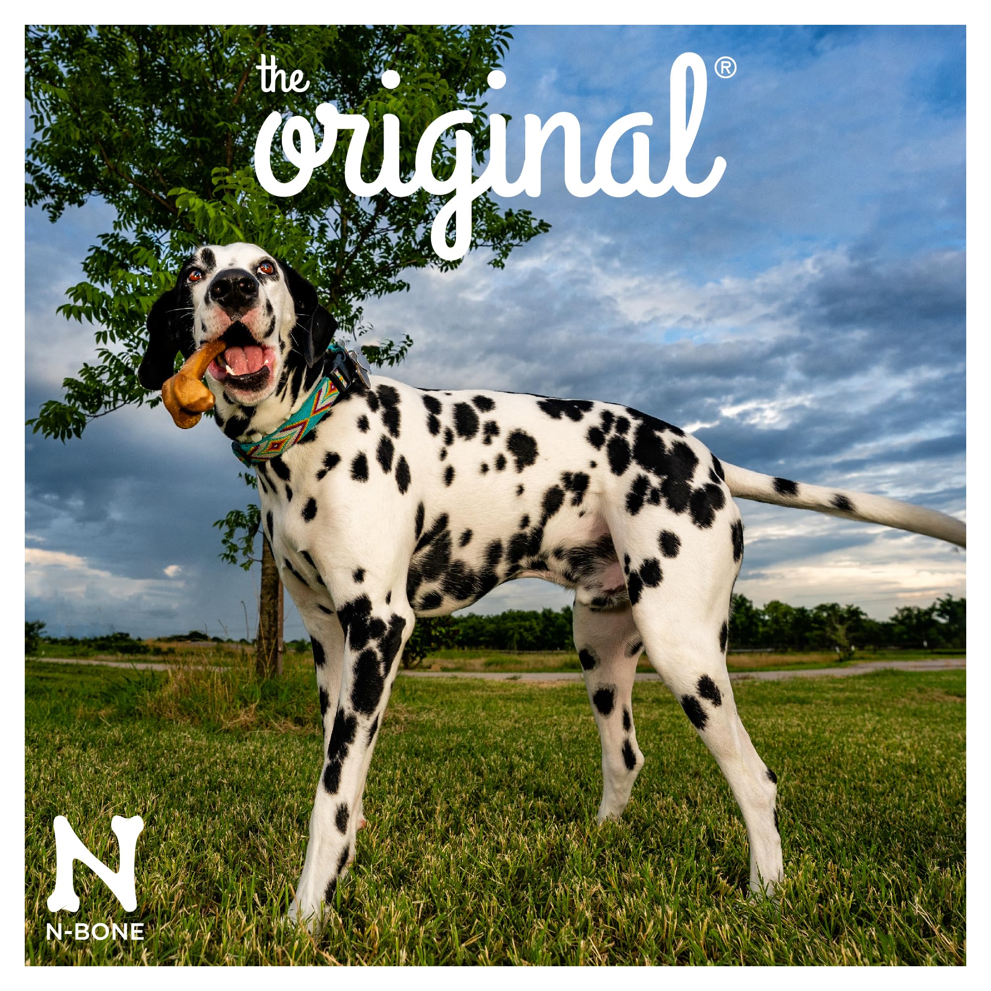 N-Bone os chien grand format, emballage refermable pour une utilisation répétée.