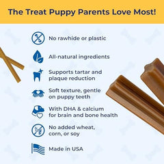 N-Bone Puppy Teething Sticks Jumbo saveur potiron, plaisir varié pour chiot.