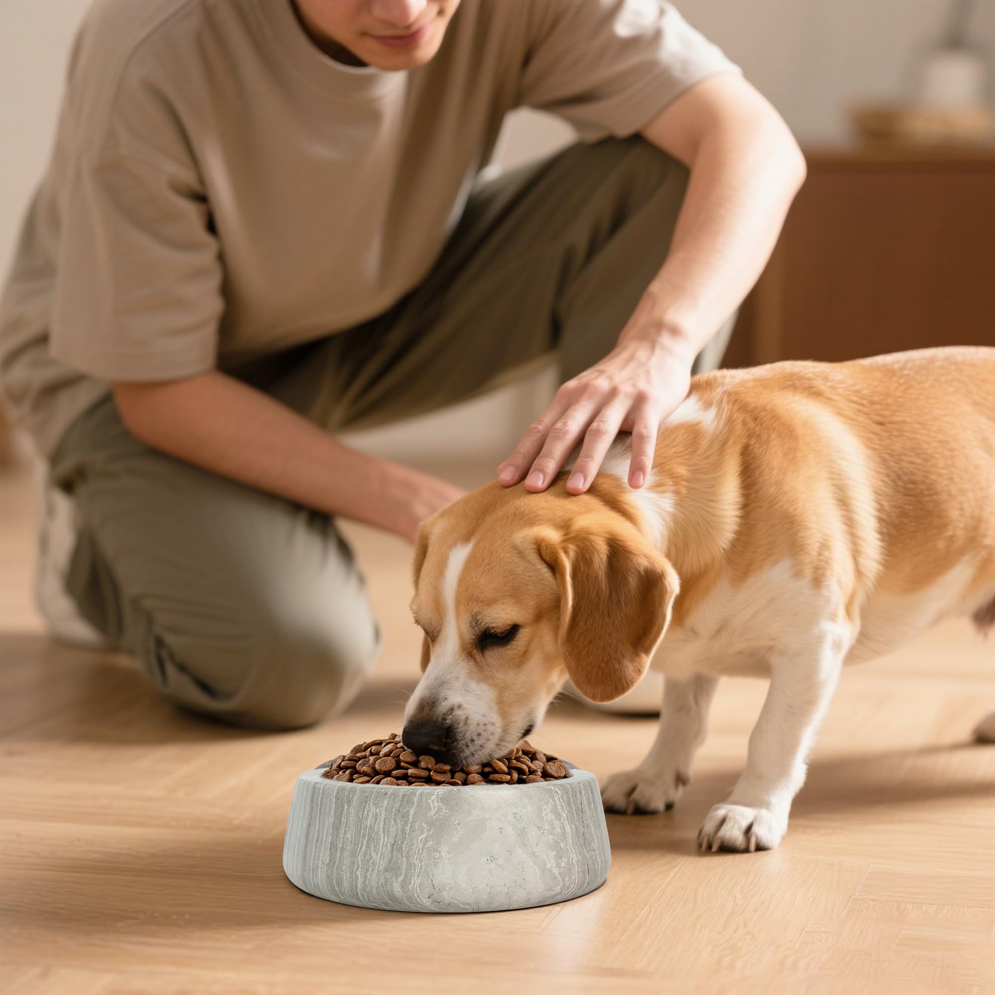 N NANSHOP bol chien base antidérapante, stabilité silencieuse pendant le repas.