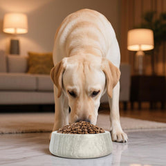 N NANSHOP bol chien marbre anti-déversement, réduction des éclaboussures.