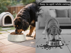 NANSHOP bol en marbre, tailles variées pour petits et moyens chiens.