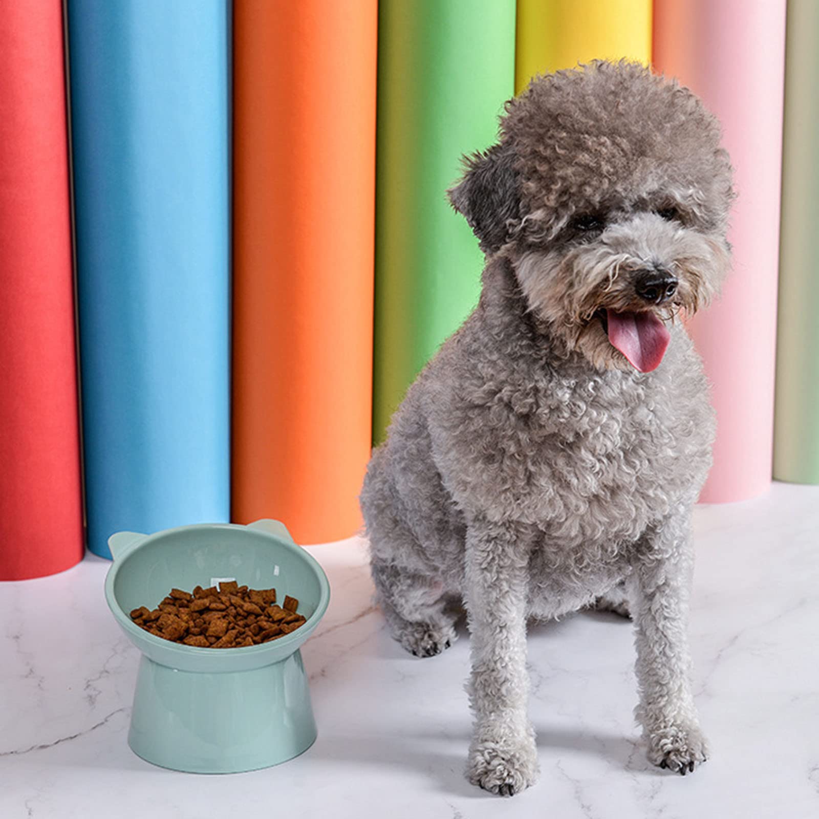 NABOKIO bol alimentaire pour chat - design élégant et pratique.