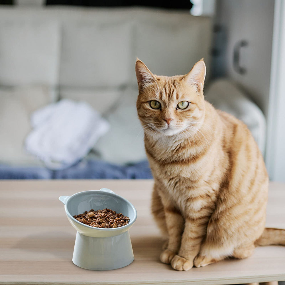 NABOKIO bol-chat-base-antiderapante, reste en place pendant l'alimentation.