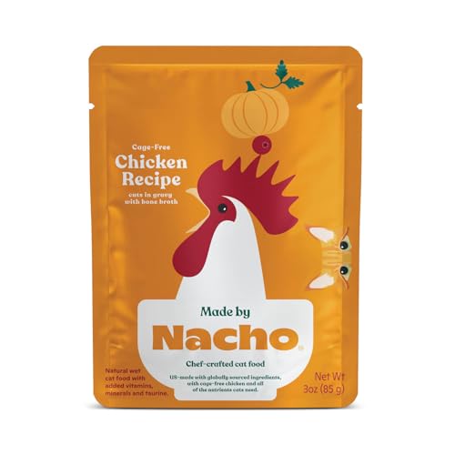 Nacho : bol avec bouillon d'os épais pour hydratation naturelle.