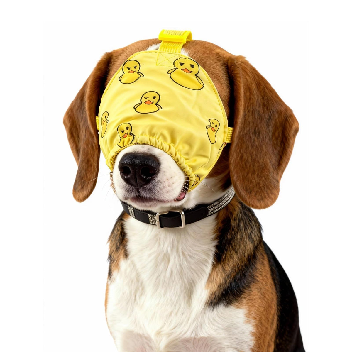 NACOCO masque apaisant pour chien en nylon jaune, facilite le calme lors du toilettage.