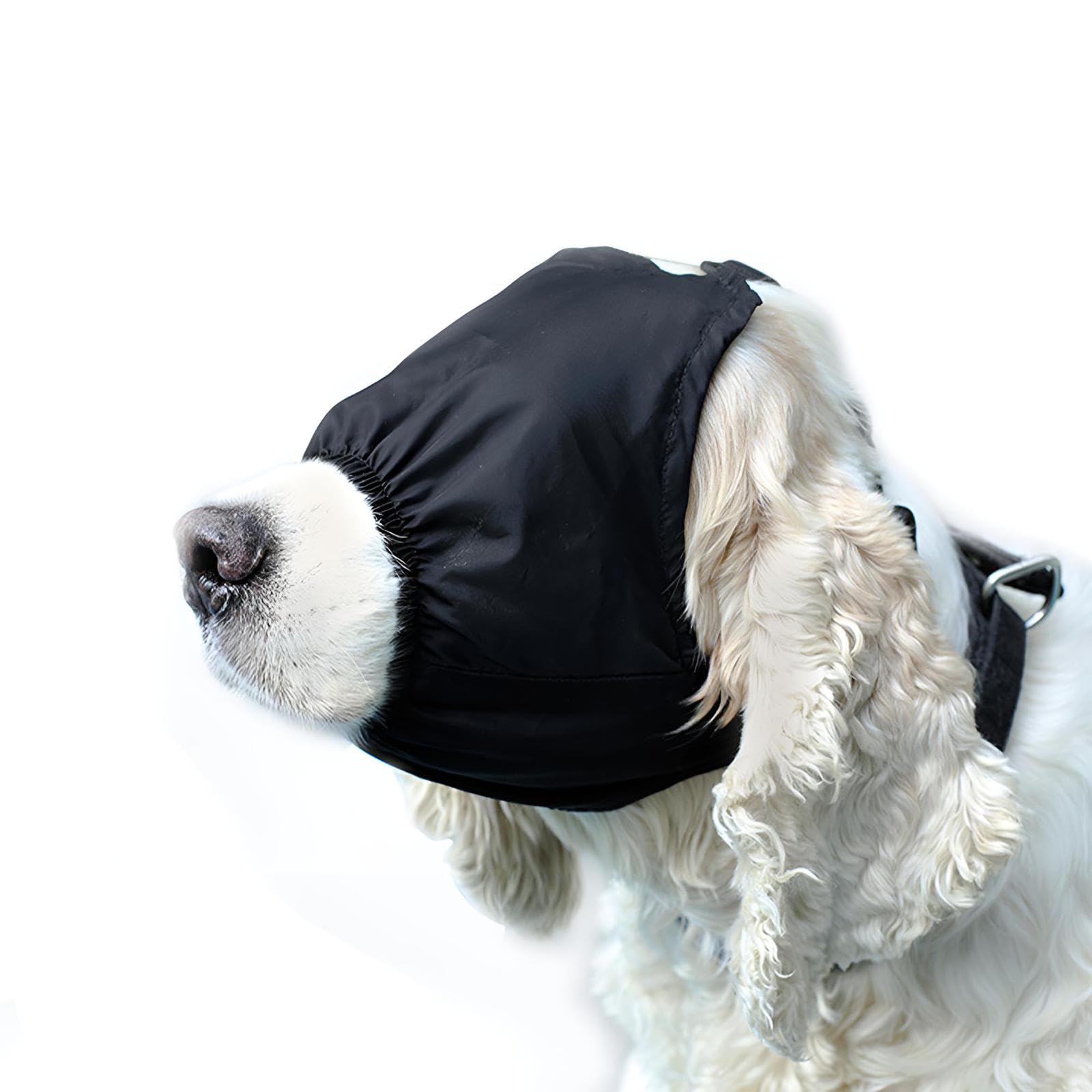 Le masque apaisant NACOCO pour les yeux du chien calme lors des trajets.