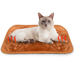 NAMOTEK tapis auto-chauffant chat doux dans le salon, chaleur confortable.
