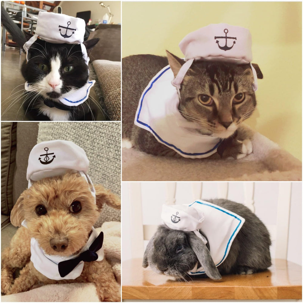 Cape et nœud-cravate NAMSAN, costume doux en coton pour petit chien.