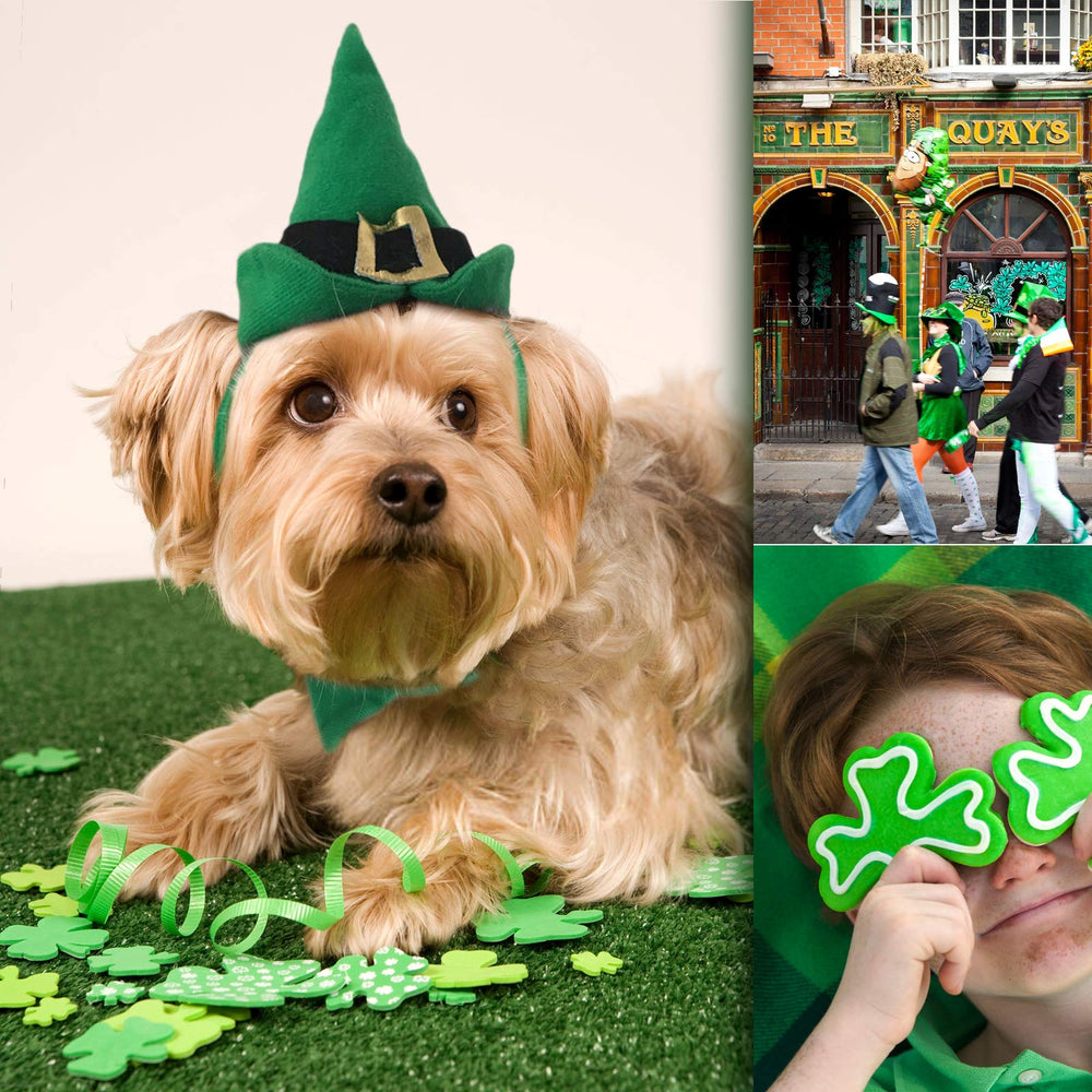 Costume Saint-Patrick NAMSAN pour chat et petit chien, look ludique