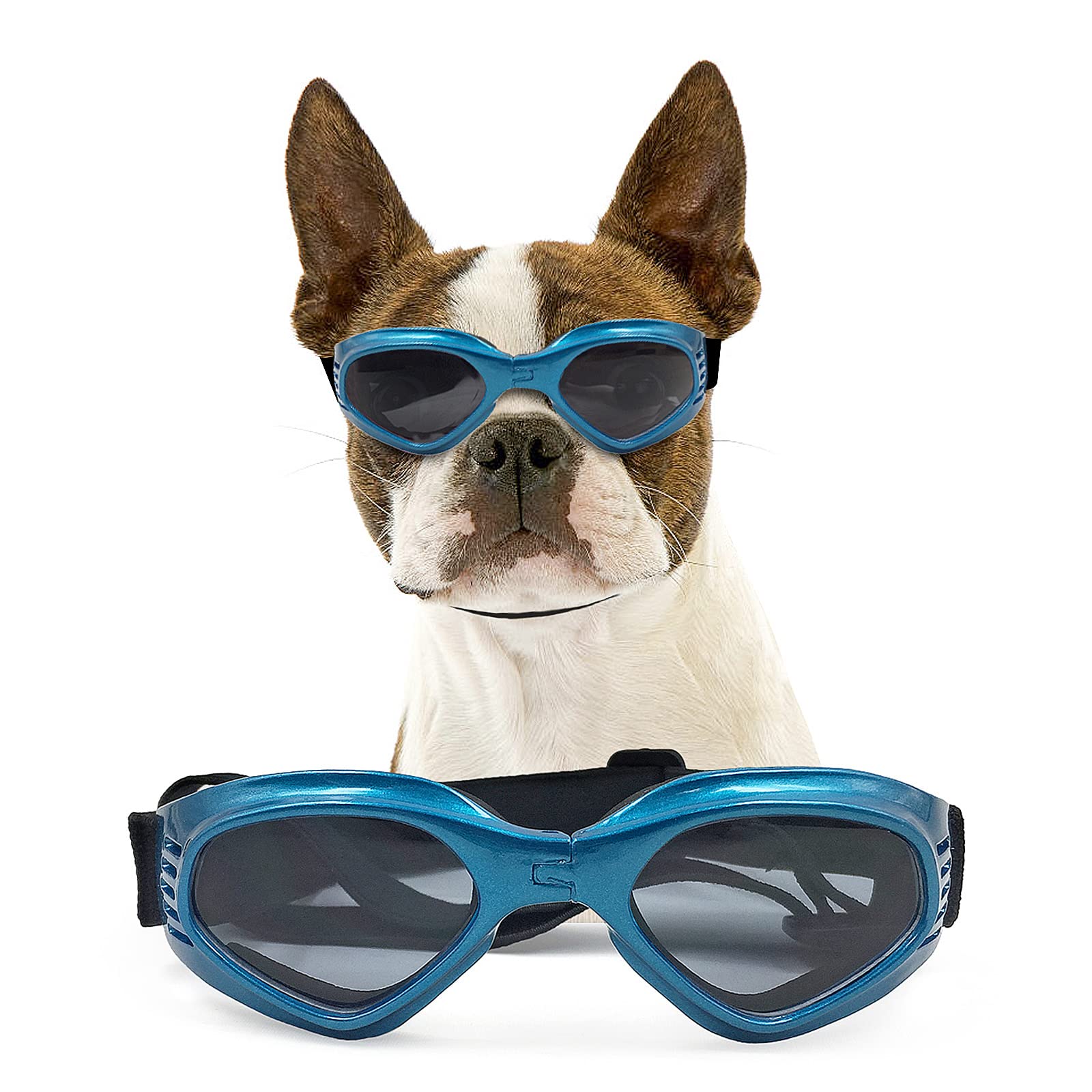 Lunettes NAMSAN chien bleu anti-brume pour une vision claire.