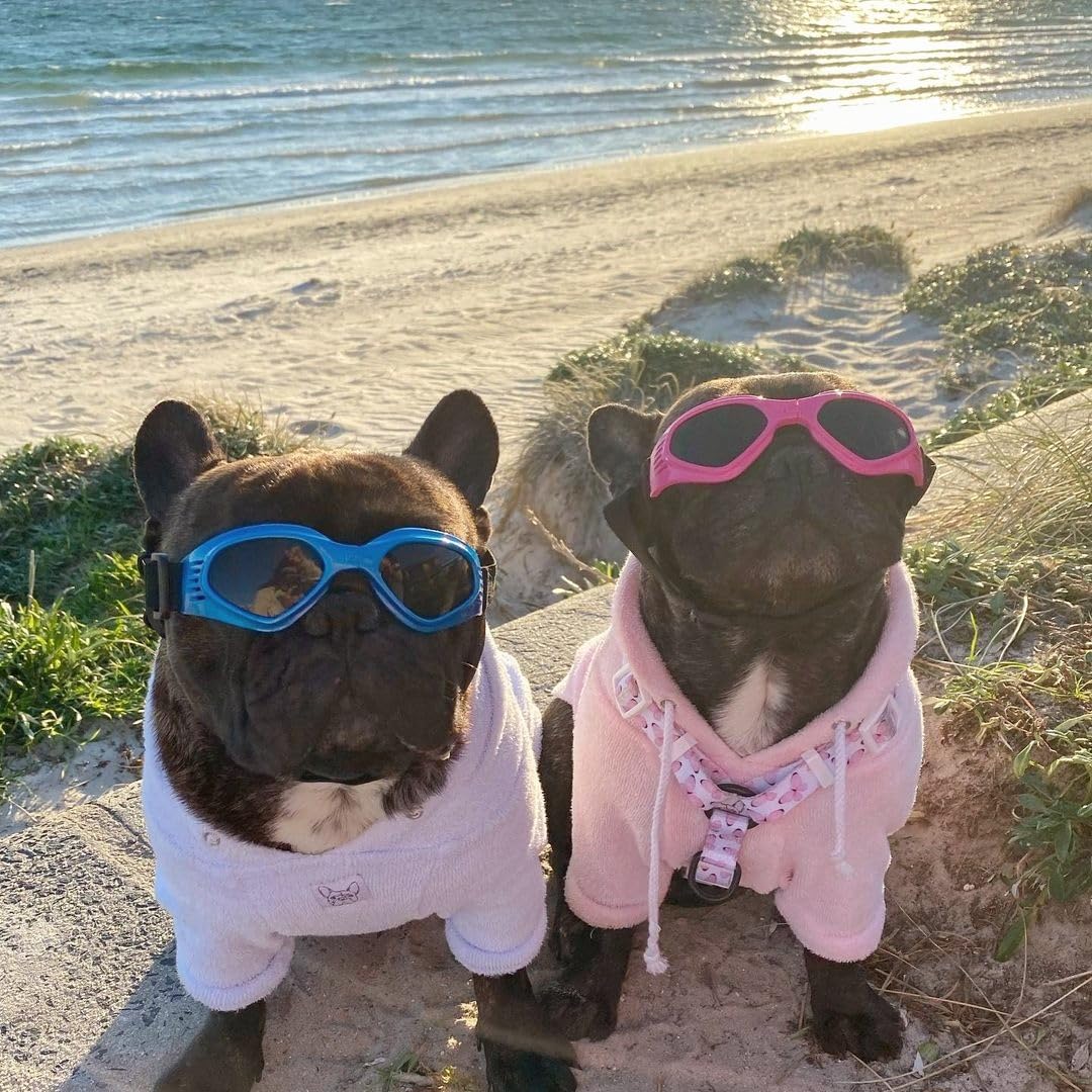 Lunettes NAMSAN chien bleu adaptées pour activités extérieures.
