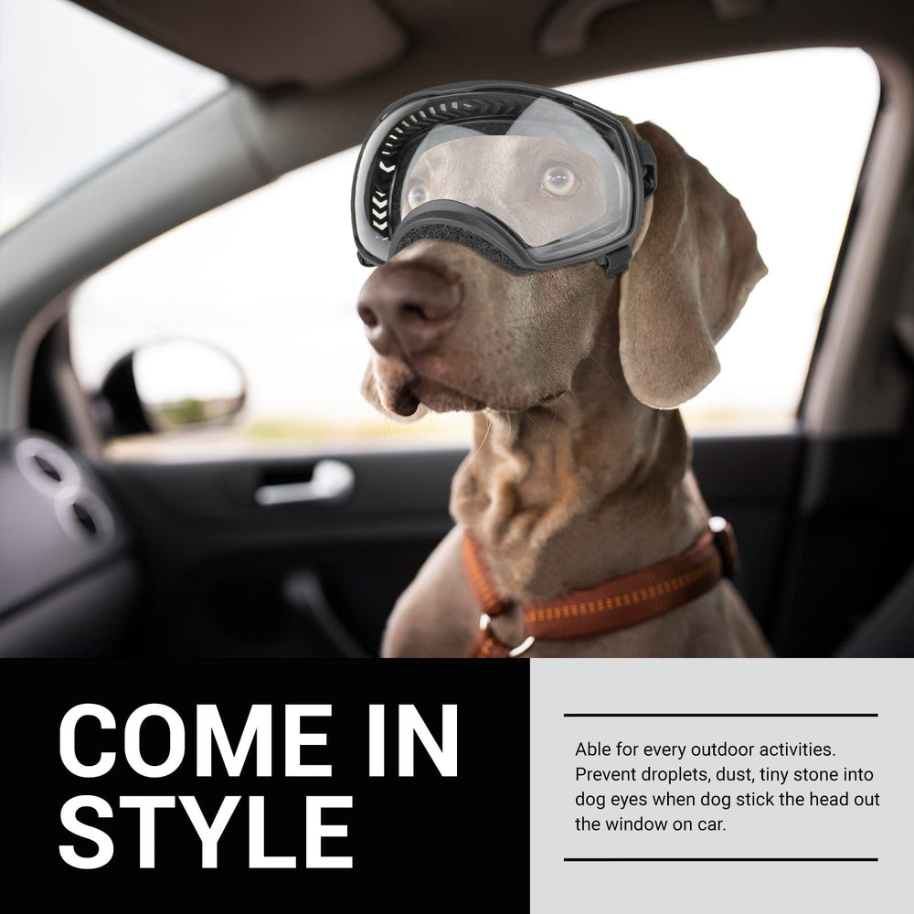 Protection contre le vent et la poussière avec les lunettes NAMSAN pour chien.