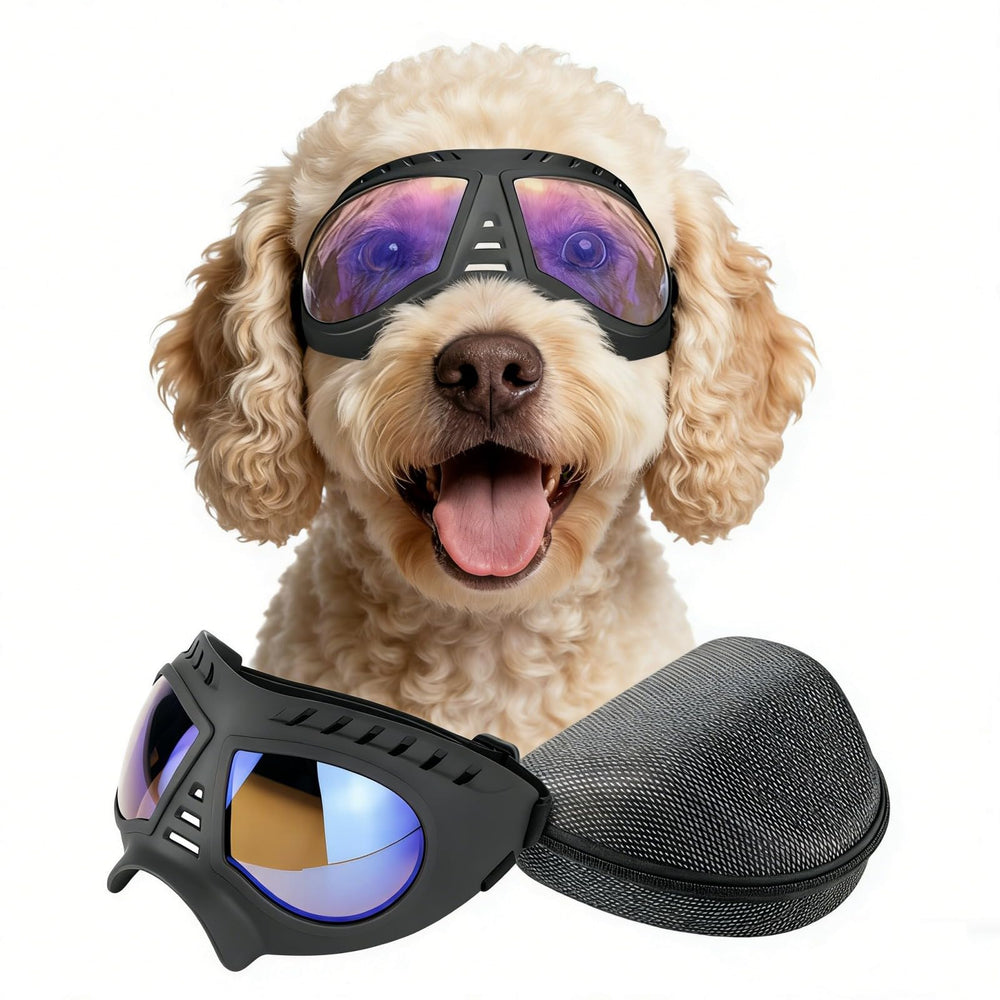 Lunettes NAMSAN pour chiens transparents et grands, vision nette en extérieur.