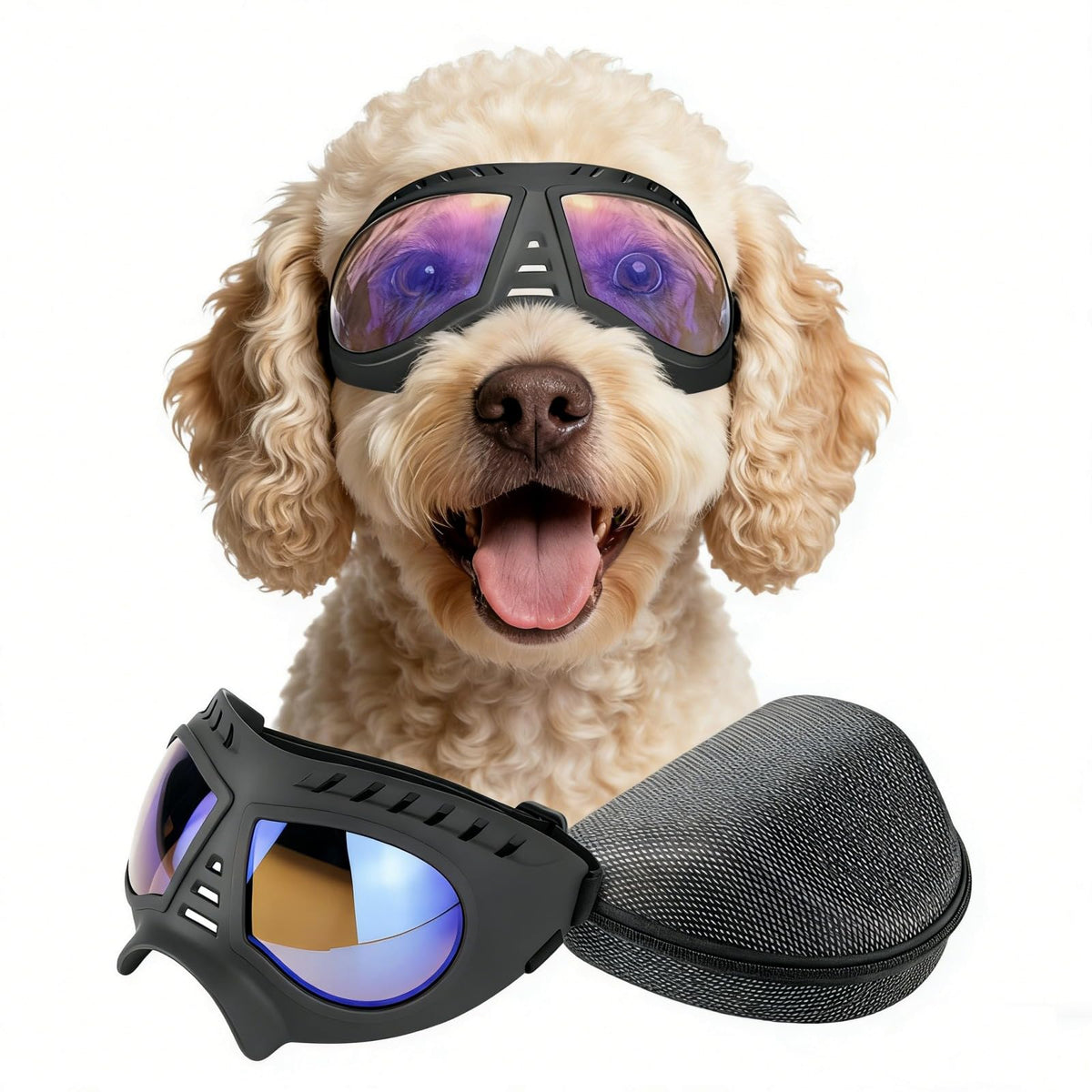 Lunettes NAMSAN pour chiens transparents et grands, vision nette en extérieur.