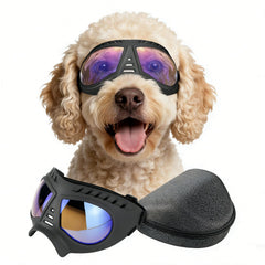 Lunettes NAMSAN pour chiens transparents et grands, vision nette en extérieur.