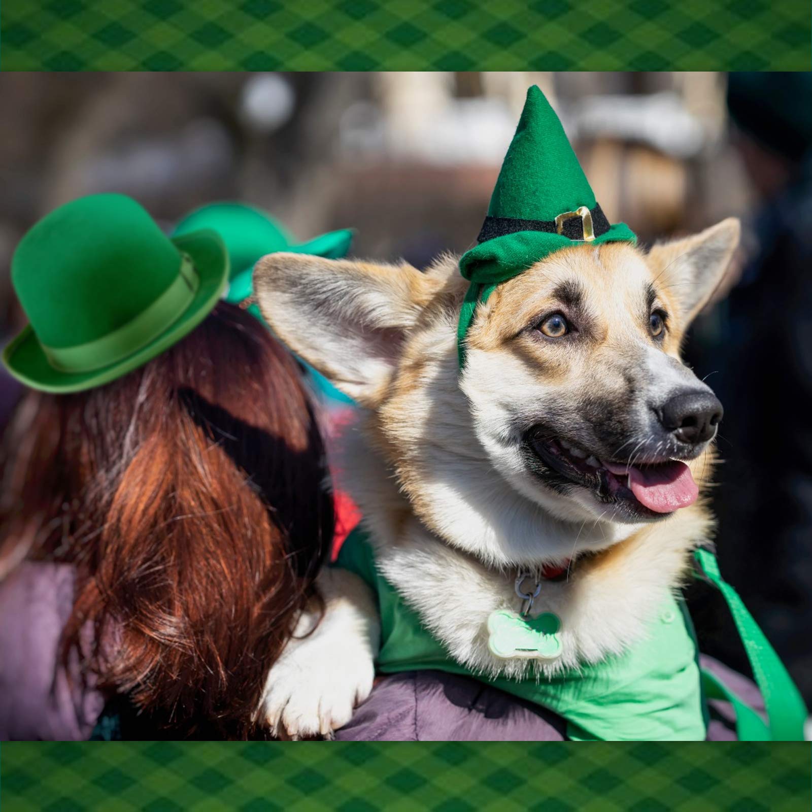Photo prête NAMSAN, idéal pour fêtes Saint-Patrick avec votre animal
