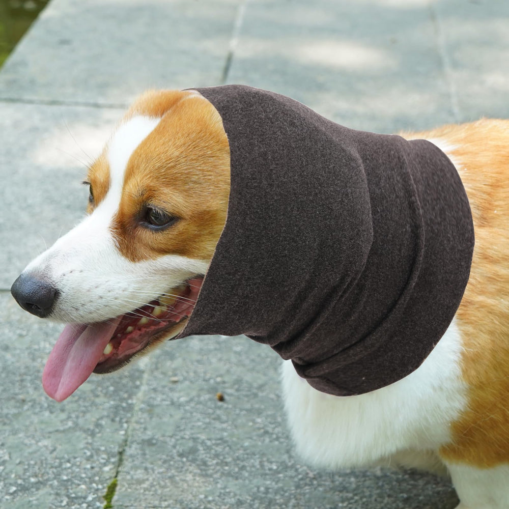 Nanaki accessoire toilettage chien: rend les séances plus calmes et efficaces.