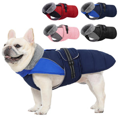Manteau Nanaki bleu pour chien, imperméable et doublure polaire pour l'hiver.