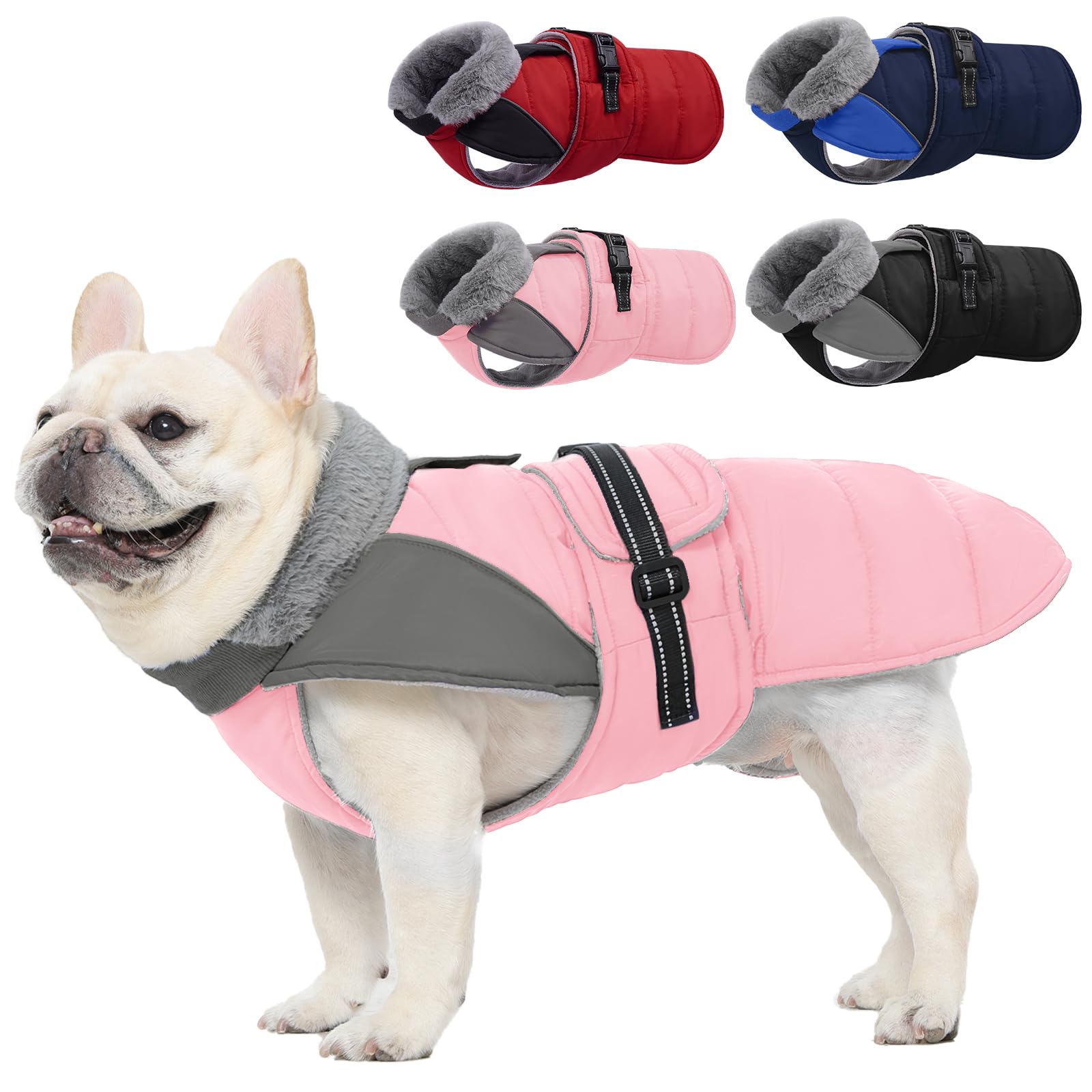Nanaki manteau chien hiver impermeable – protection contre pluie et vent.