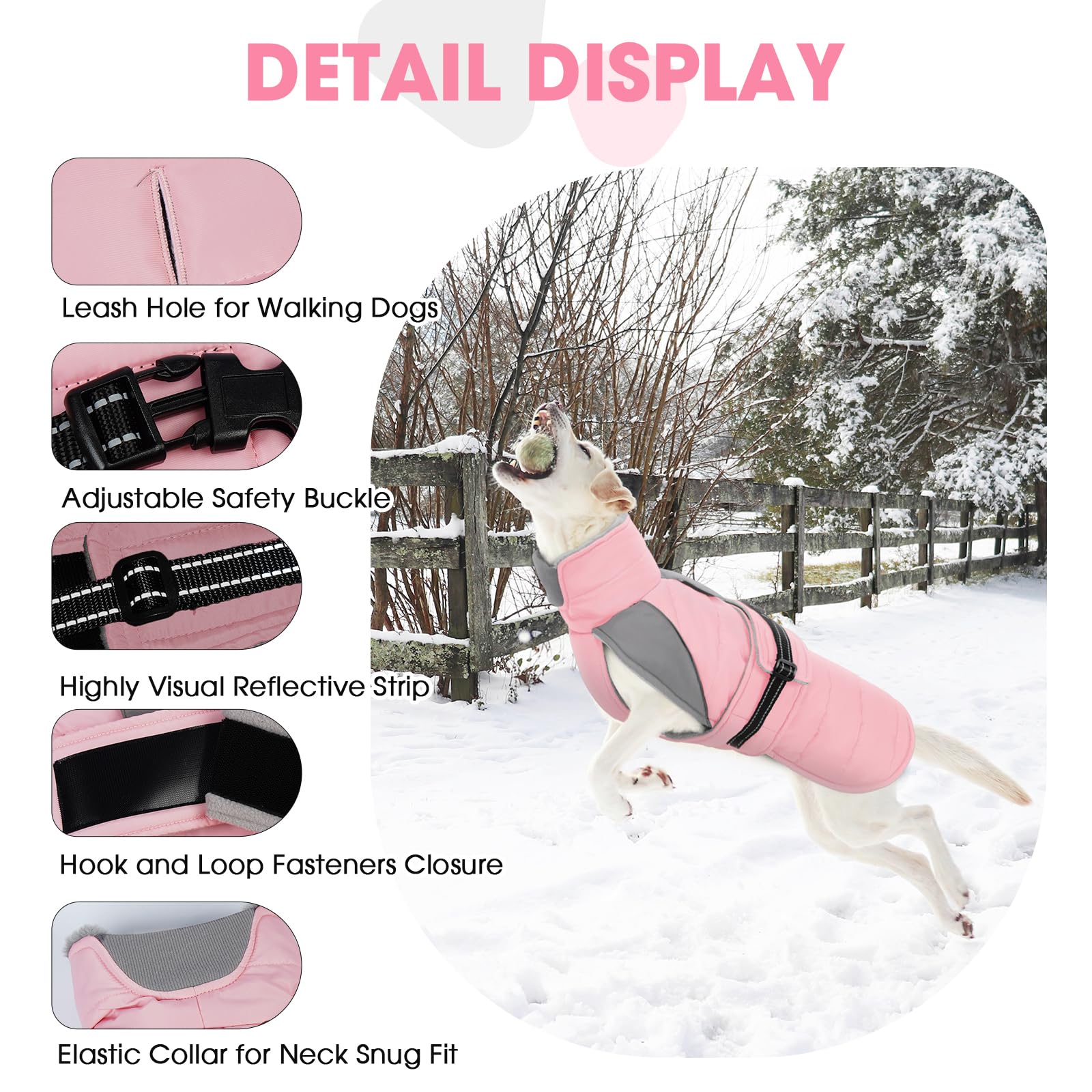 Nanaki manteau chien hiver tout terrain – adapté à sorties quotidiennes.