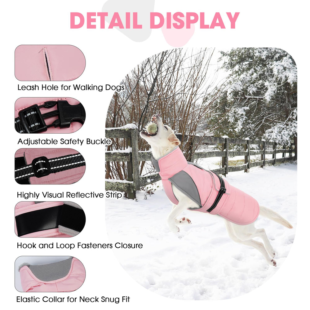 Nanaki manteau chien hiver tout terrain – adapté à sorties quotidiennes.