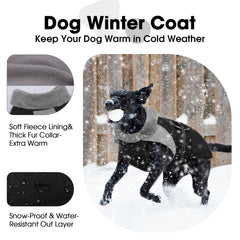 Manteau Nanaki pour chien, trou pour laisse au dos, pratique.