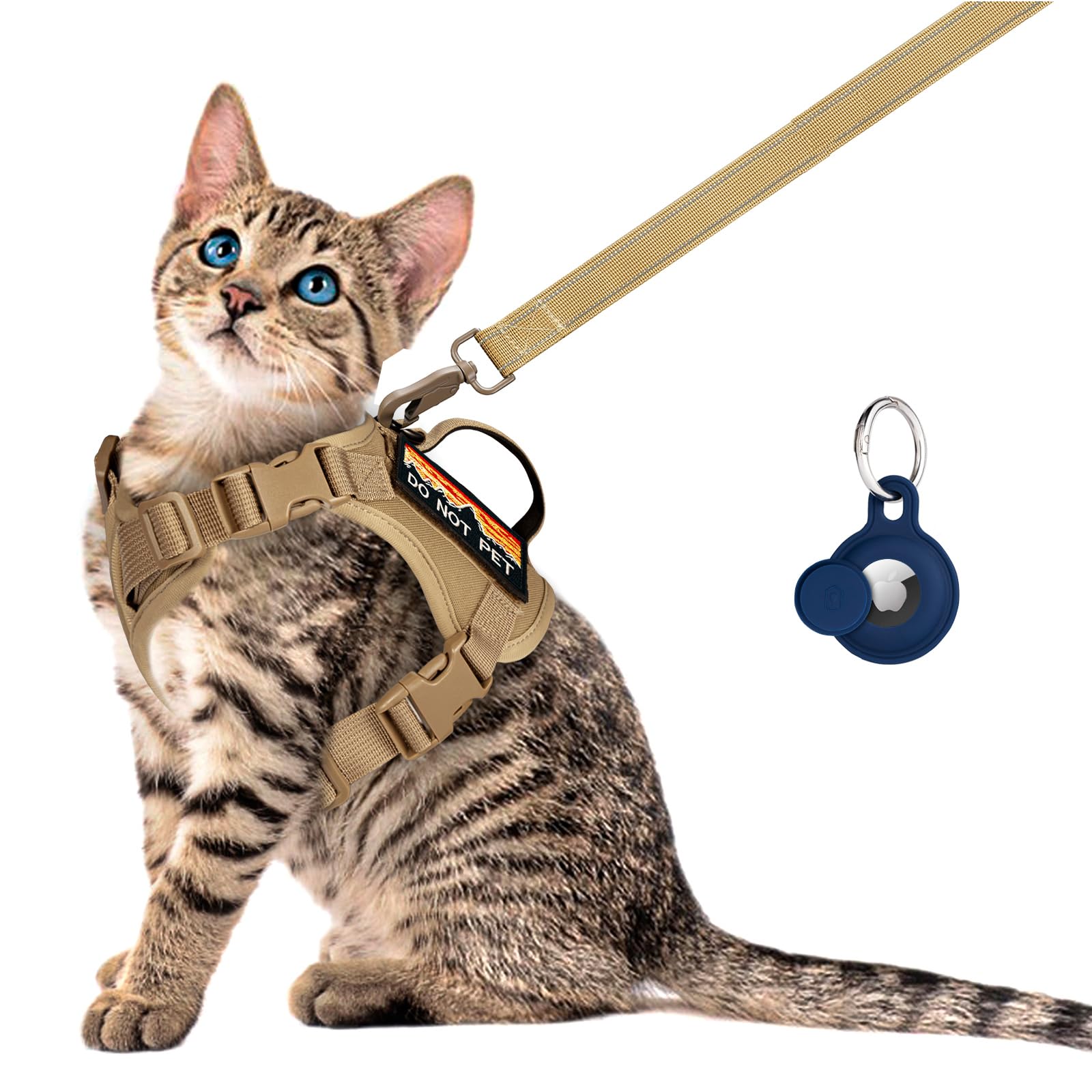 Nanappice harnais chat tactique prêt pour balades sécurisées.