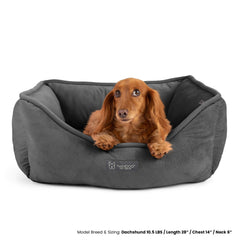 NANDOG couture durable assurant une utilisation longue et fiable.