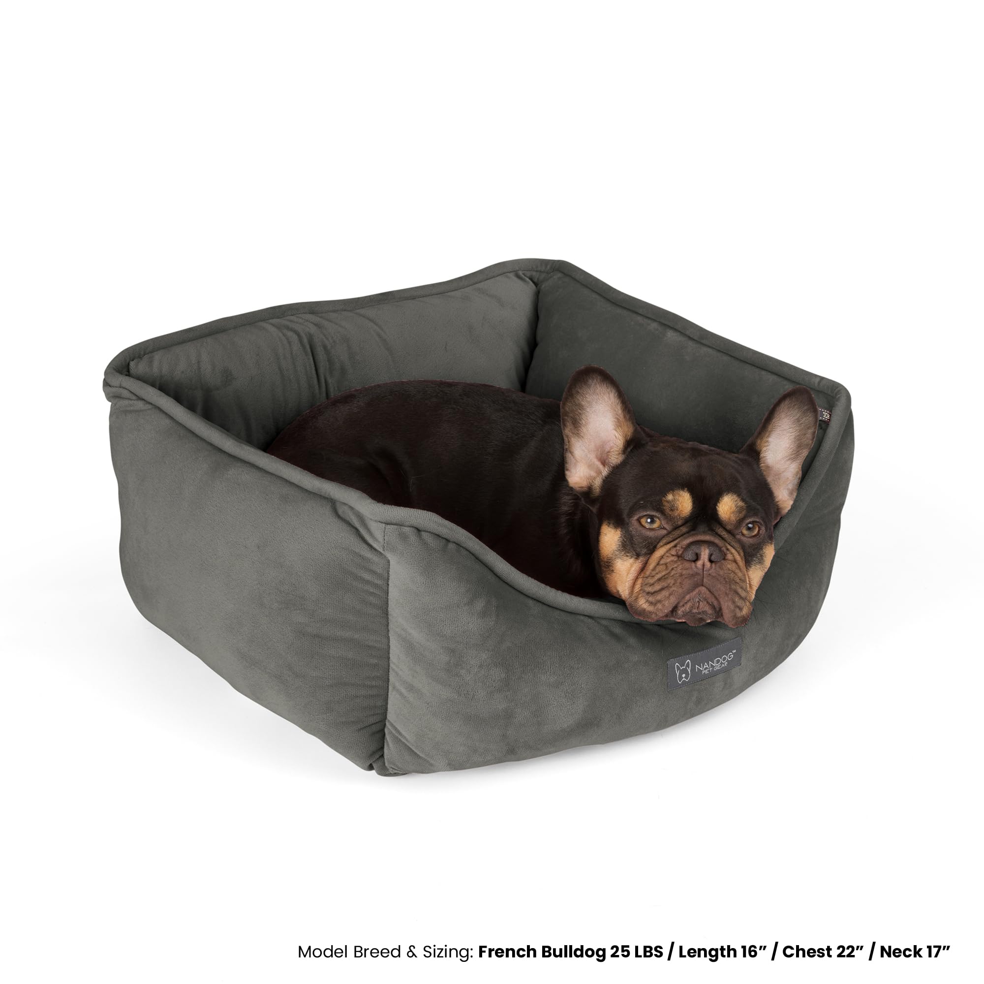 NANDOG poids léger et portable, idéal pour déplacements.