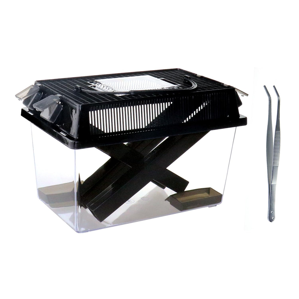 NANEEZOO Garde-grillons : boîte transparente pour observer l'activité des grillons.