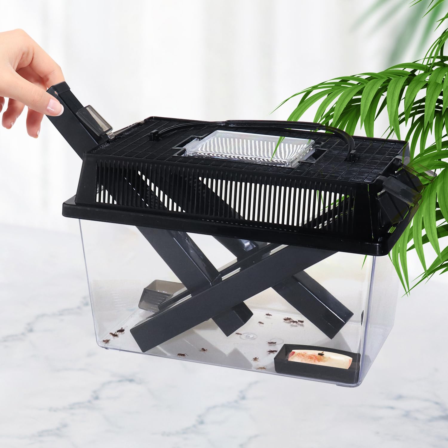 NANEEZOO Garde-grillons : tubes de distribution pour nourrir précisément les insectes.