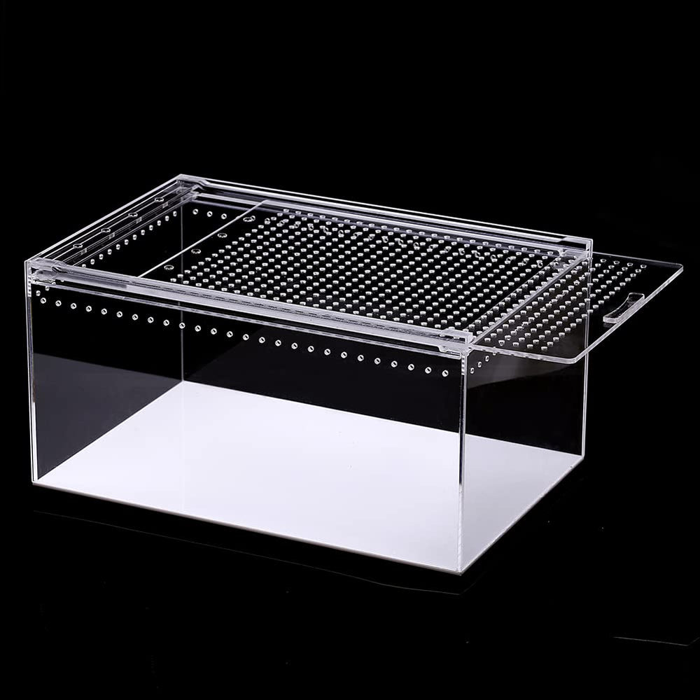 NANEEZOO boîte acrylique 12x8x6 pouces pour habitat compact et clair.