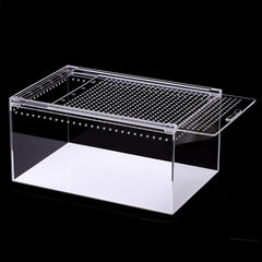 NANEEZOO boîte acrylique 12x8x6 pouces pour habitat compact et clair.