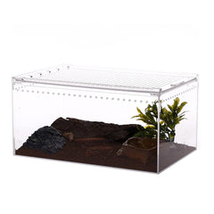 NANEEZOO boîte acrylique transparente avec vue à 360° pour observer le comportement.