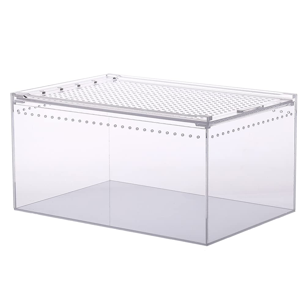 NANEEZOO boîte d’alimentation transparente facilite le suivi des proies.