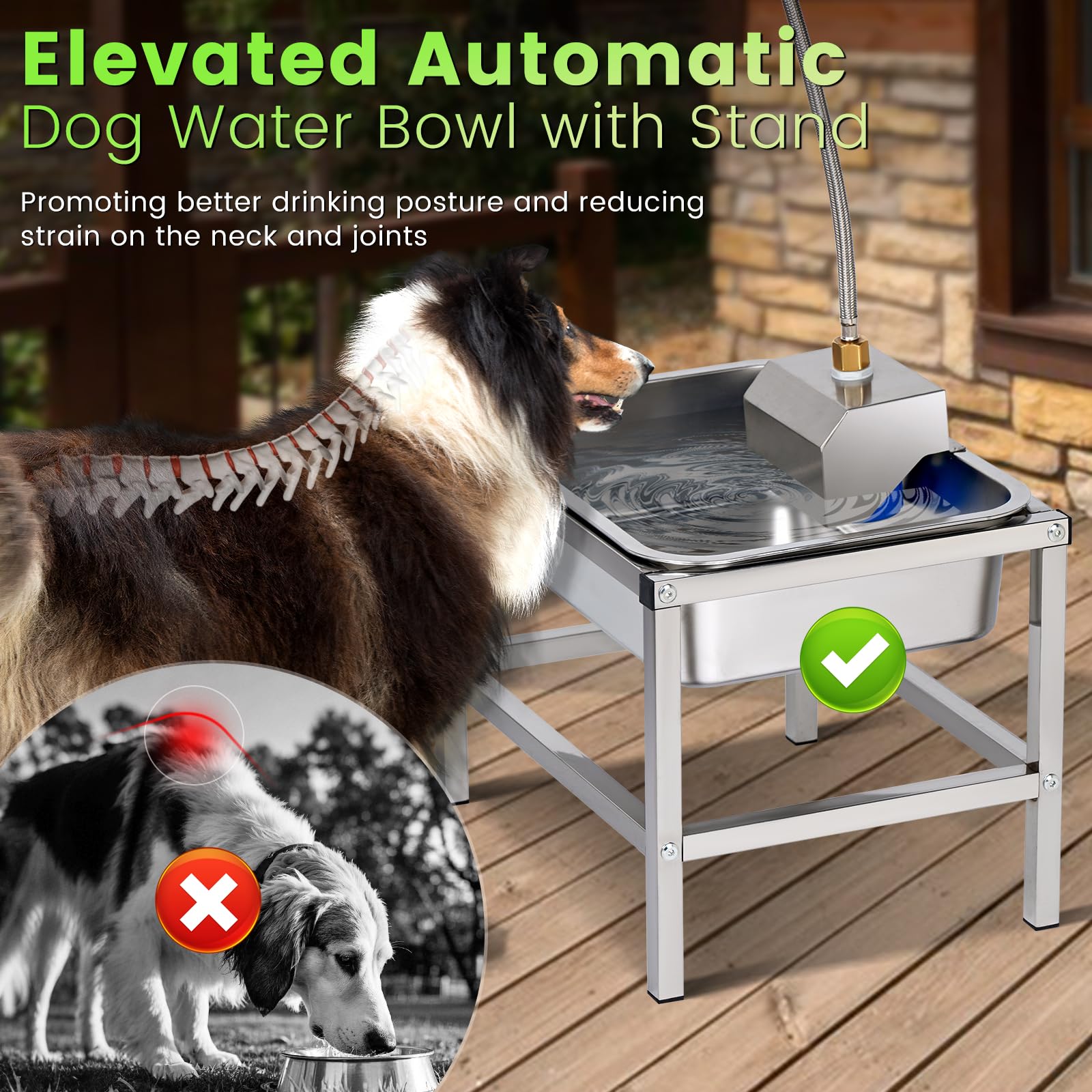 Abreuvoir surélevé NAOEDEAH, hauteur utile pour grands chiens.