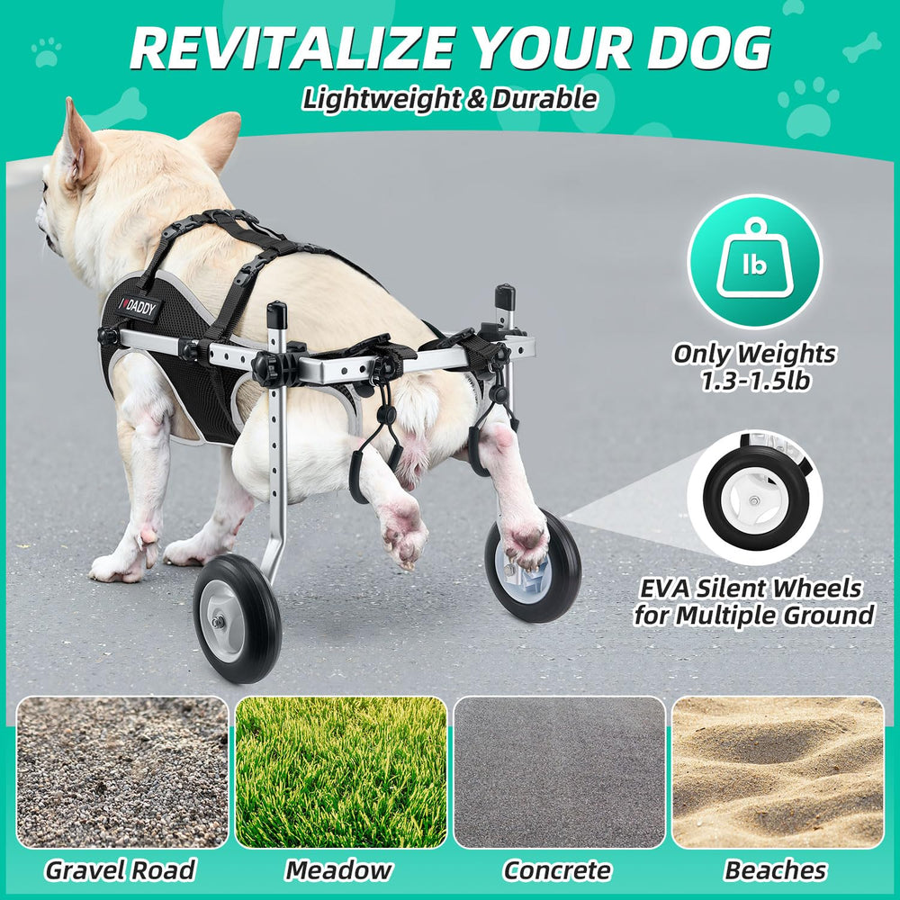 Nasjac fauteuil pour chien - montage sans outil et rapide