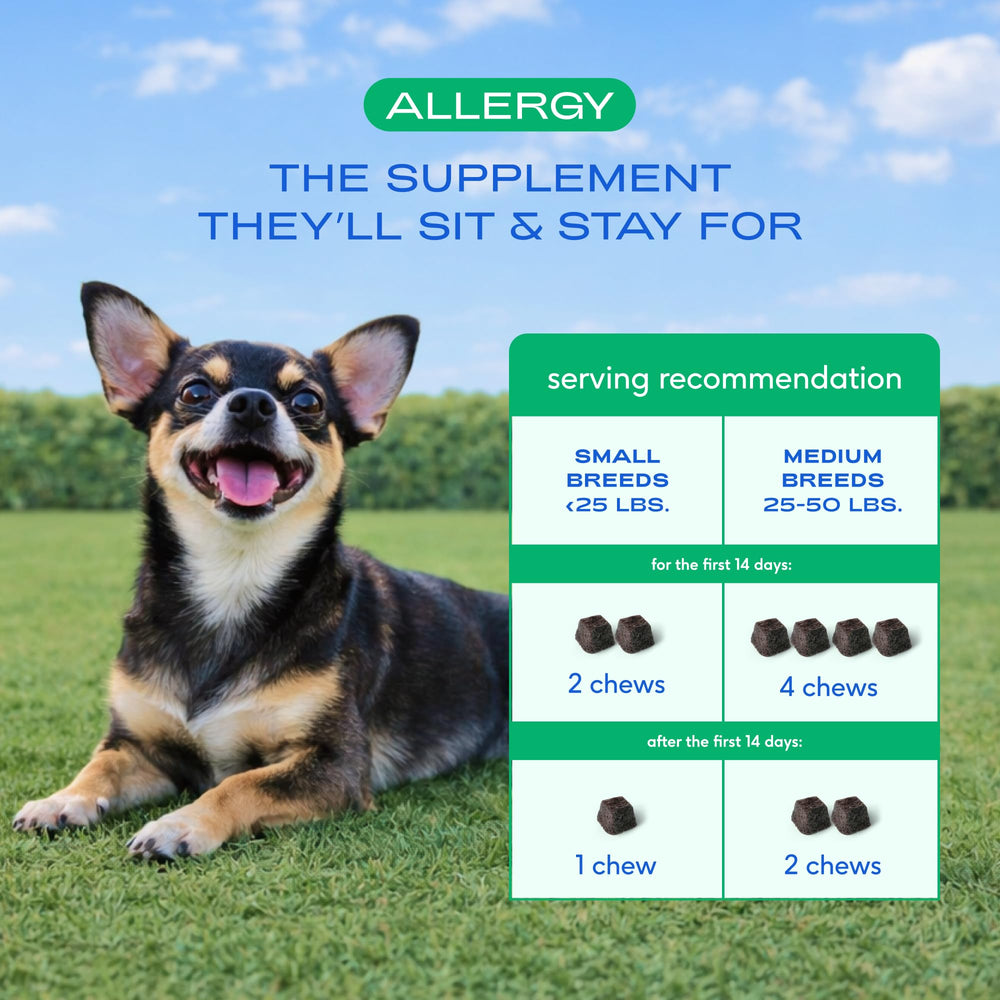 Native Pet Allergy Chews: huile d'algues pour nutrition et équilibre.