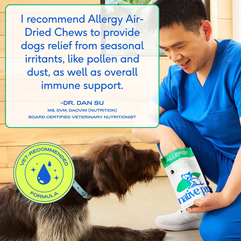 Native Pet Allergy Chews: format séché à l'air, actifs préservés.