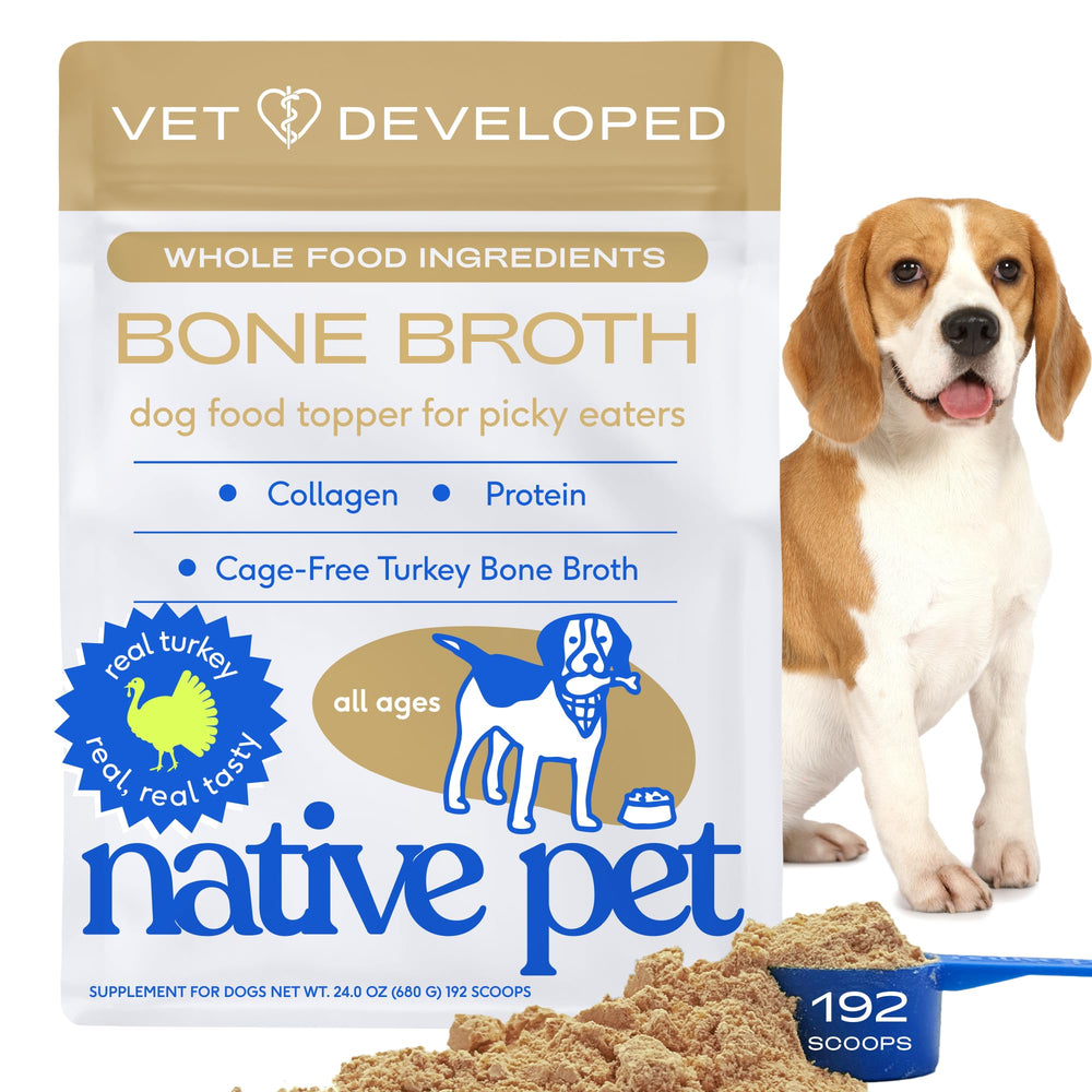 Native Pet bouillon dinde poudre, topper savoureux pour chiens et chats