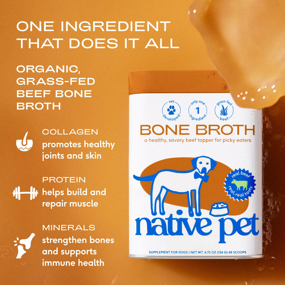 Native Pet bouillon os boeuf pour chiens, apport potentiel d'hydratation et énergie