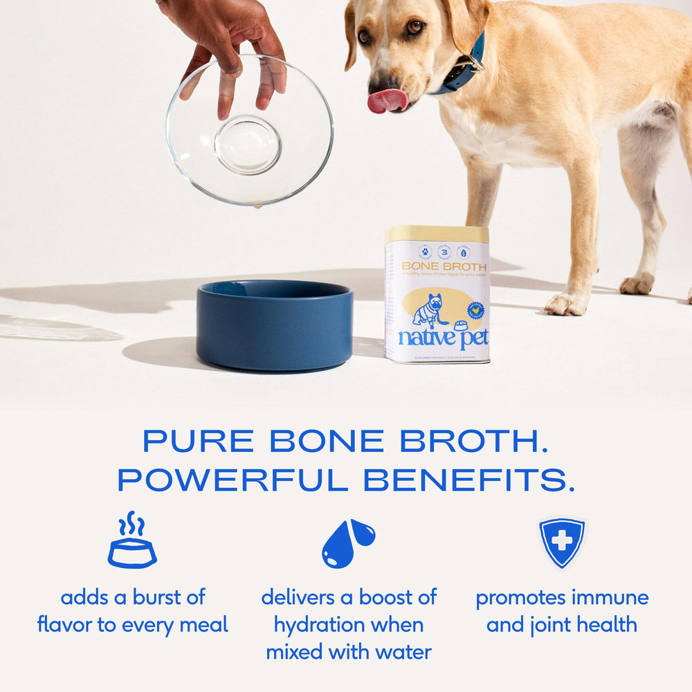 Native Pet bouillon poulet en poudre peut hydrater pendant le repas.