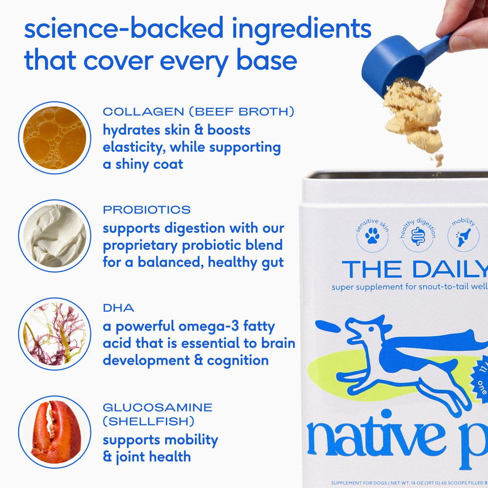 Pelage brillant grâce à l’huile oméga-3 Native Pet