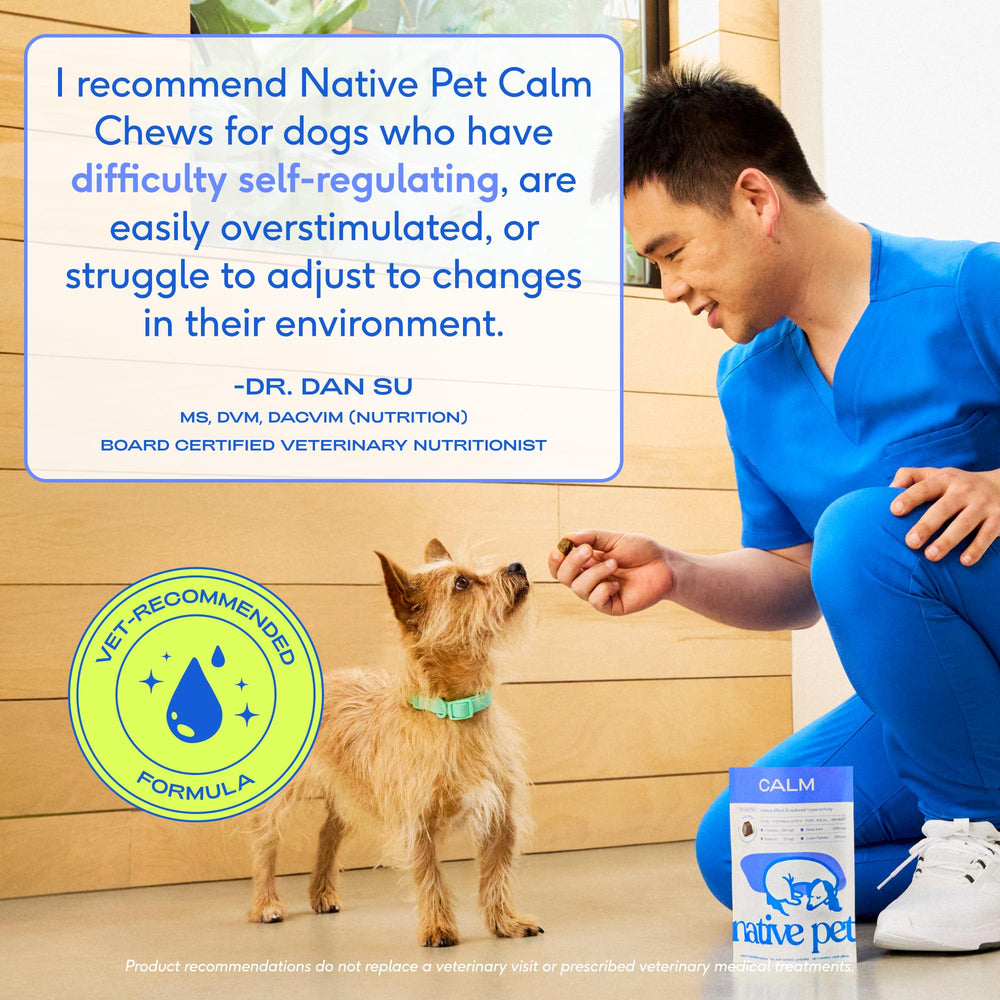 Native Pet Calming Chews — ingrédients soutenus par la science: mélatonine, L-théanine et caséine.