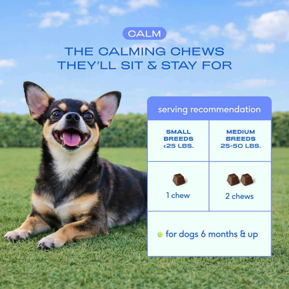 Native Pet Calming Chews — fabriqué aux États-Unis, sans arômes artificiels.
