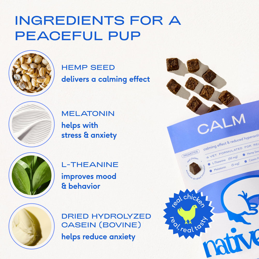 Bol de friandises Native Pet XL, collation calmante pour chien.