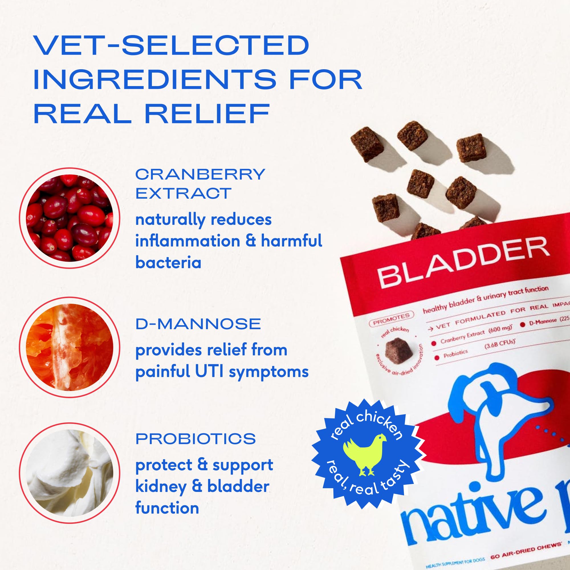 Native Pet probiotiques pour chiens, aidant le microbiome urinaire.